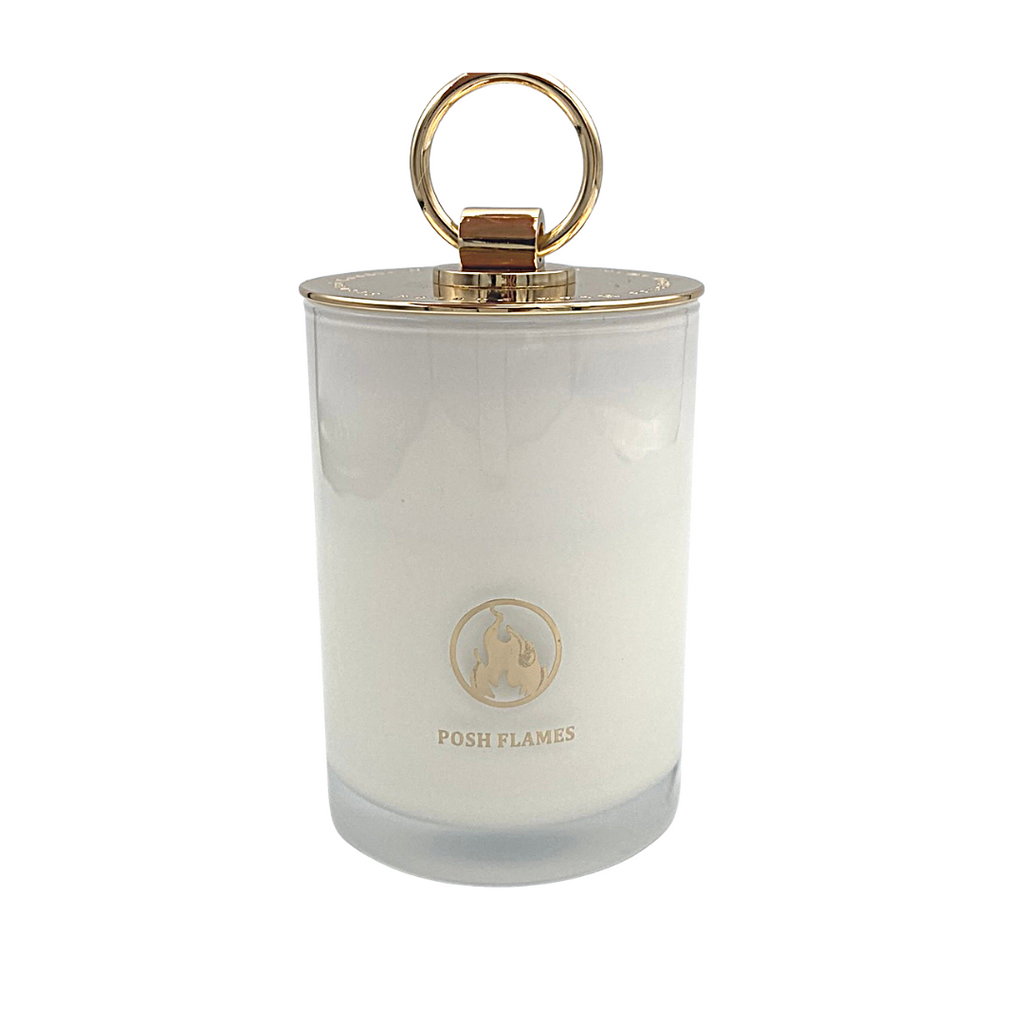 LOUIS VUITTON Other accessories LP0109 perfumed candle aroma Candle Pottery  white unisex New